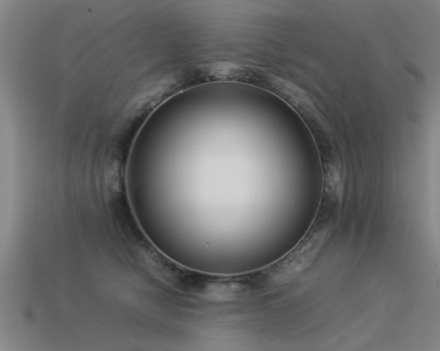 X0000113290470200909141208