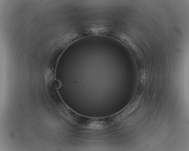 X0000113290471200909141208