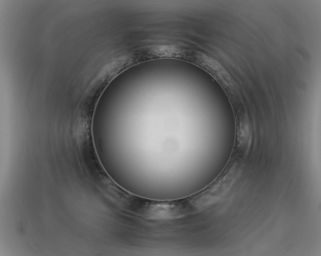 X0000113290473200909141208