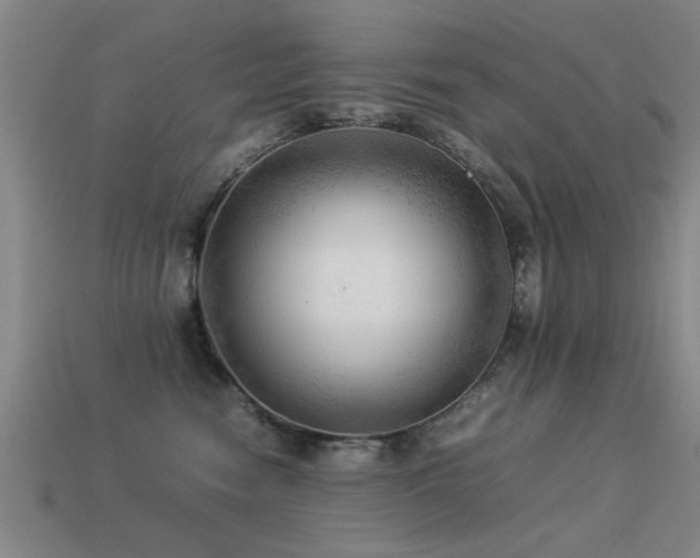 X0000113290474200909141208