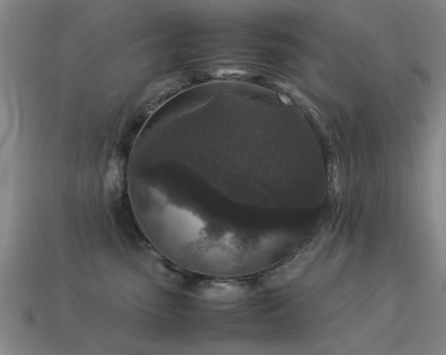 X0000113290475200909141208