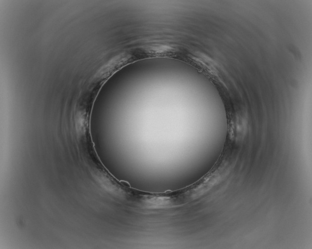 X0000113290476200909141208