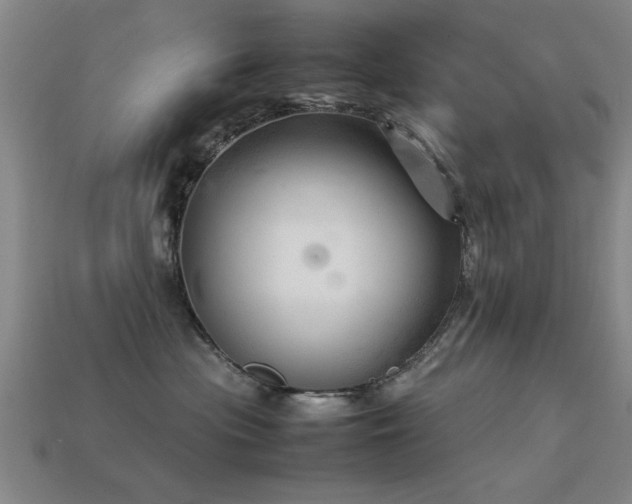 X0000113290477200909141208