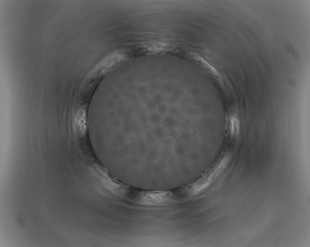 X0000113290479200909141208