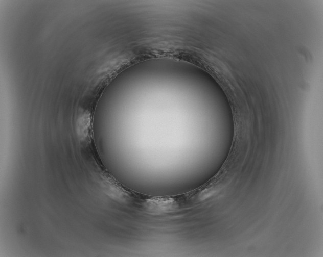 X0000113290480200909141208