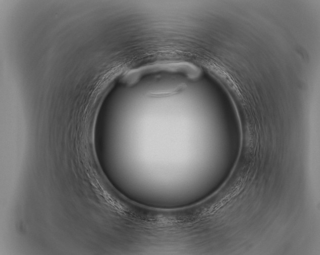 X0000113290481200909141208