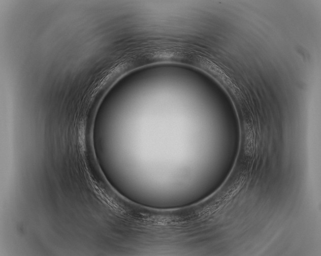 X0000113290482200909141208