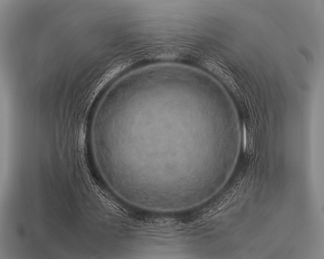 X0000113290483200909141208