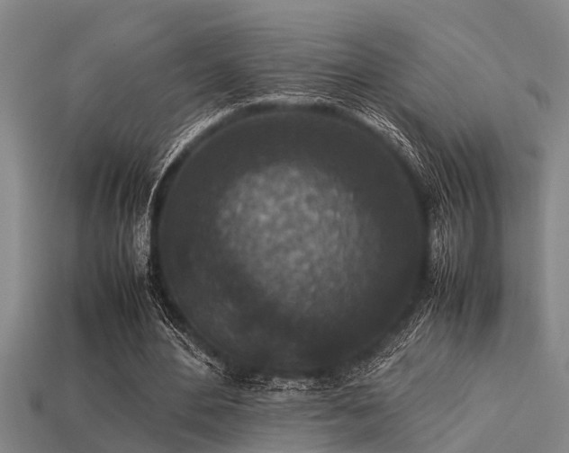 X0000113290484200909141208