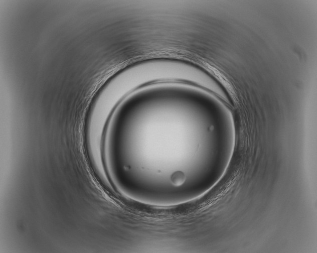 X0000113290485200909141208