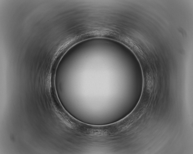 X0000113290486200909141208