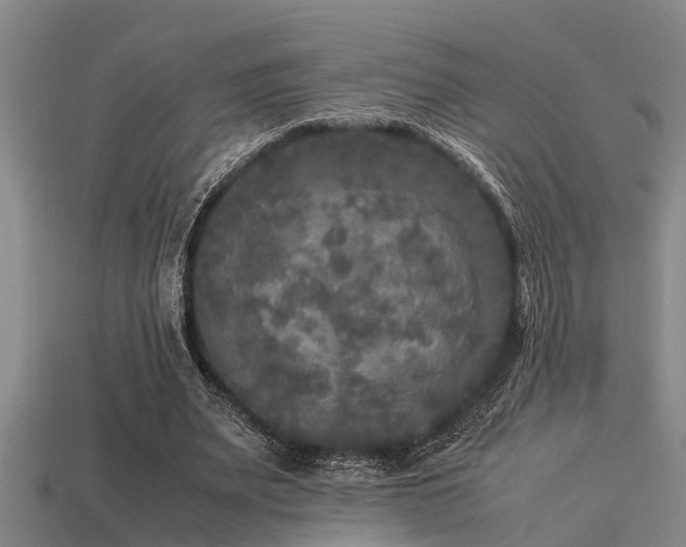 X0000113290487200909141208