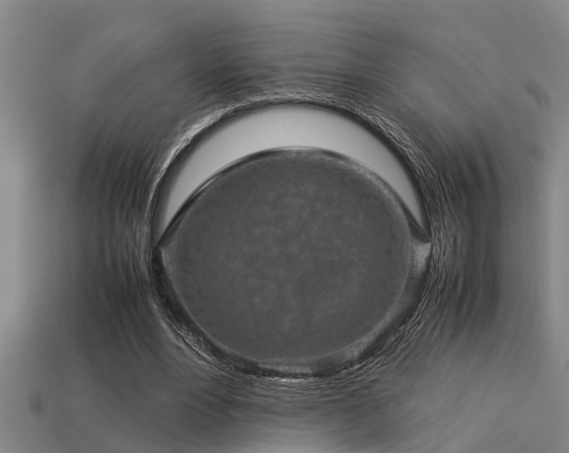 X0000113290488200909141208