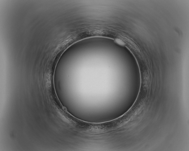 X0000113290489200909141207