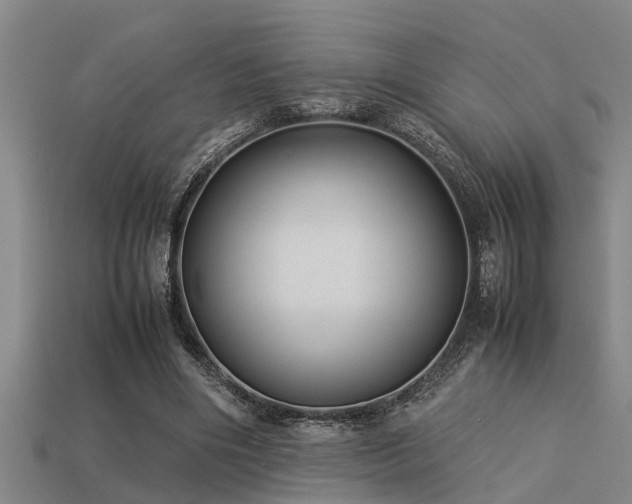 X0000113290490200909141207