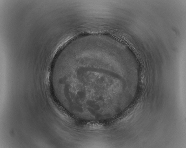 X0000113290491200909141207