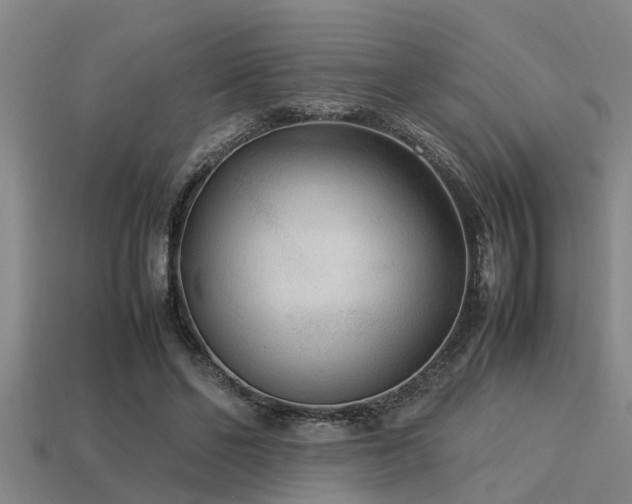 X0000113290494200909141207