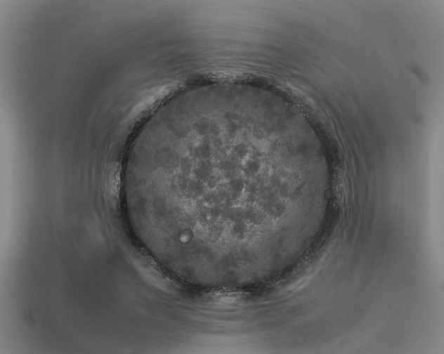 X0000113290495200909141207