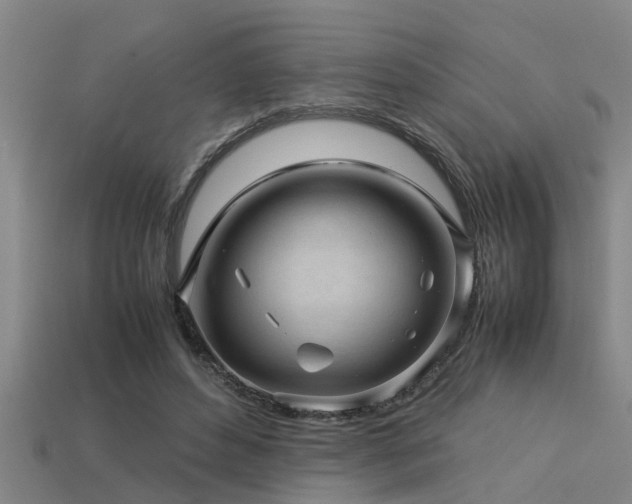 X0000113290496200909141207