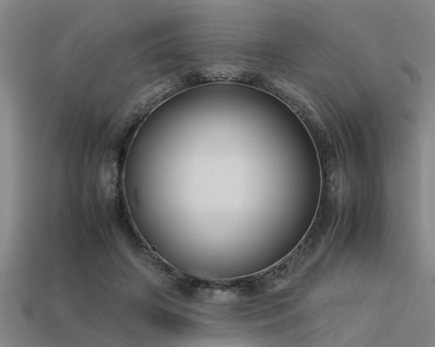 X0000113290498200909141207