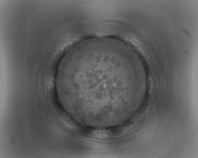 X0000113290499200909141207