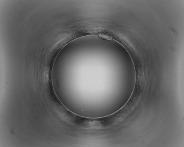 X0000113290501200909141207