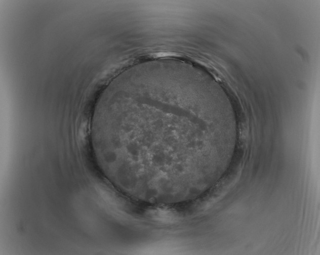 X0000113290503200909141207