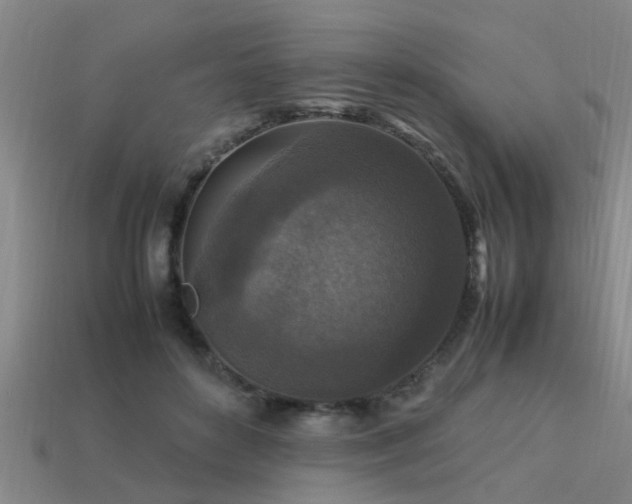 X0000113290504200909141207