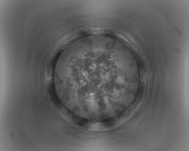 X0000113290507200909141207