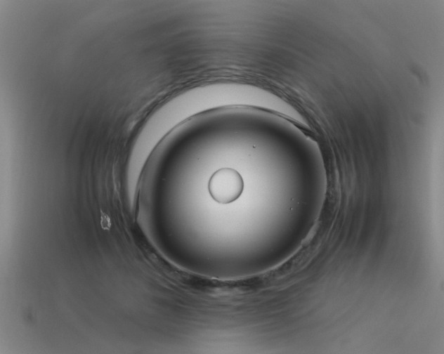 X0000113290508200909141207