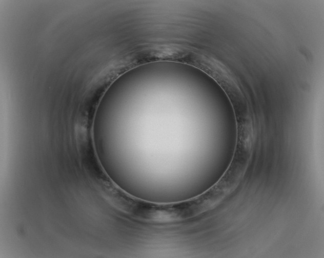 X0000113290510200909141207