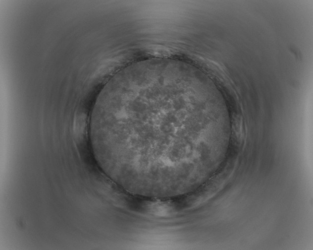 X0000113290511200909141207