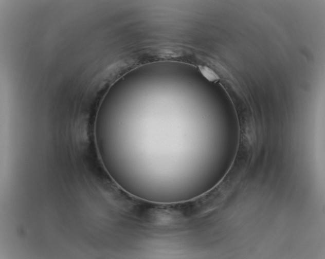 X0000113290512200909141207