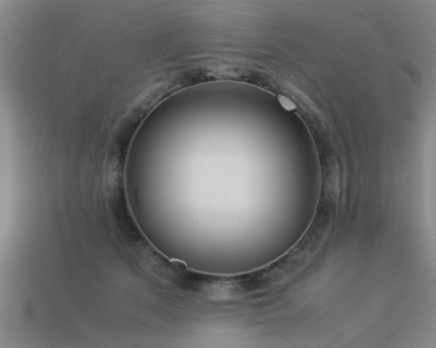 X0000113290513200909141207