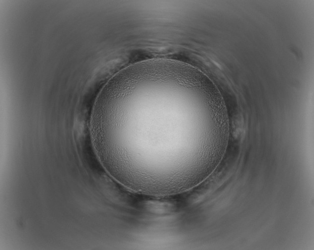 X0000113290515200909141207