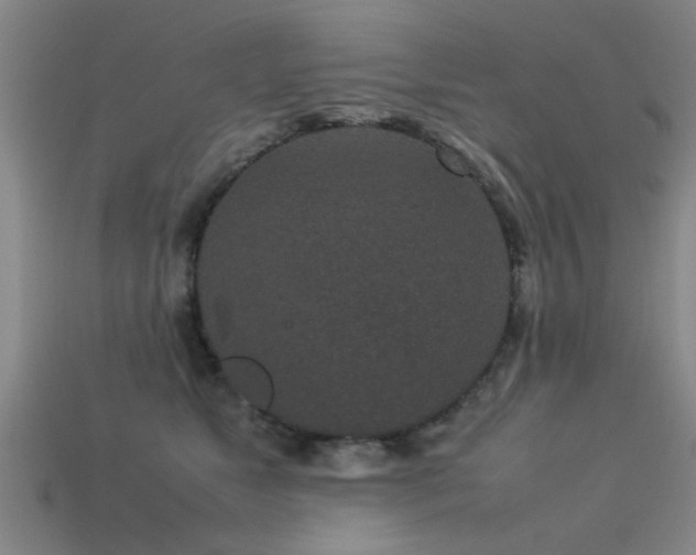 X0000113290517200909141207