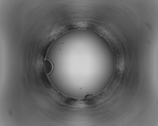 X0000113290518200909141207