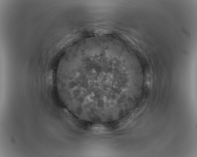 X0000113290519200909141207