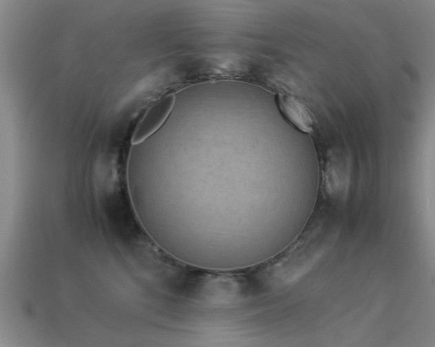 X0000113290520200909141207