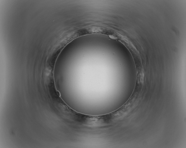 X0000113290521200909141207