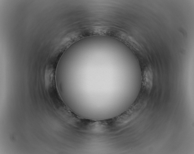 X0000113290522200909141207