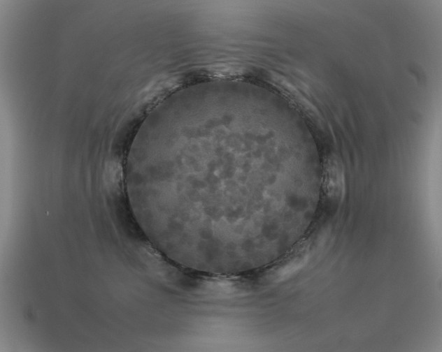 X0000113290523200909141207