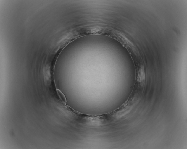 X0000113290524200909141207