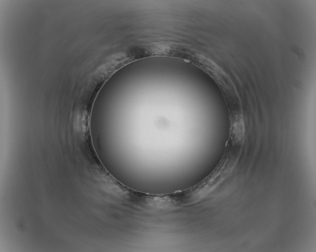 X0000113290525200909141207