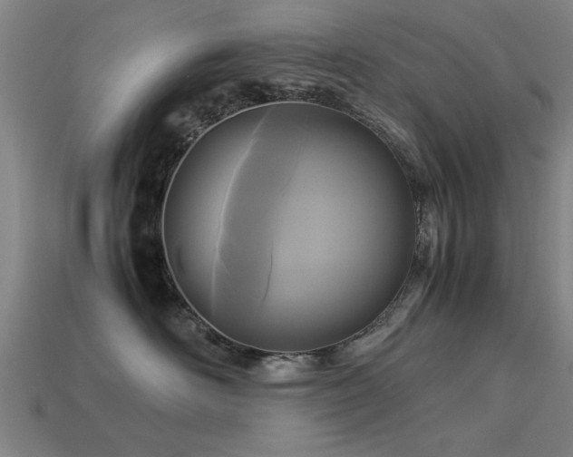 X0000113290526200909141207