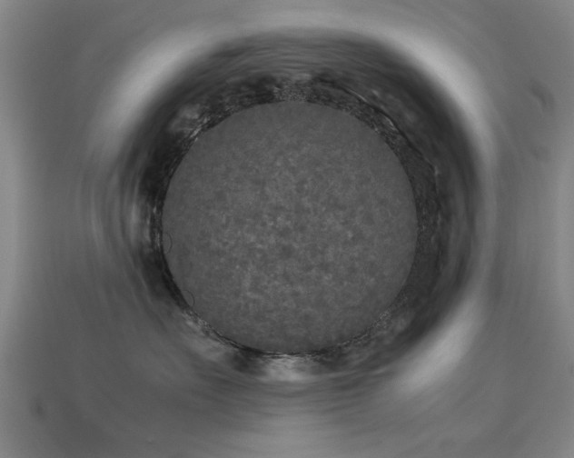 X0000113290527200909141207