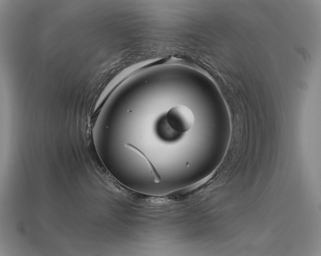 X0000113290528200909141207