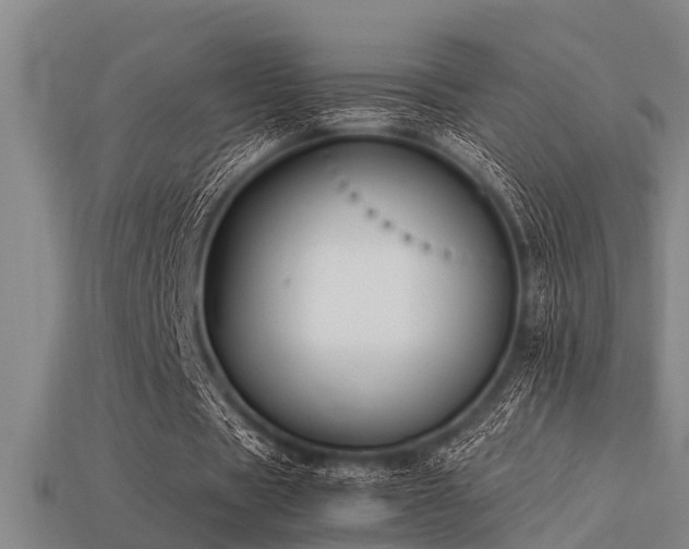 X0000113290529200909141206