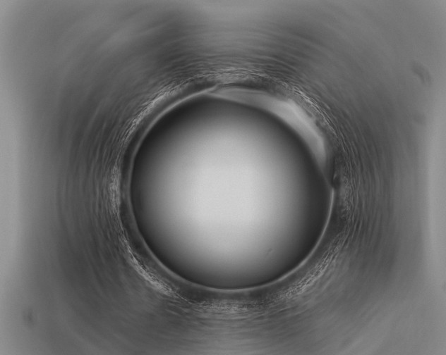 X0000113290530200909141206