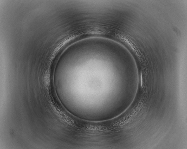 X0000113290531200909141206